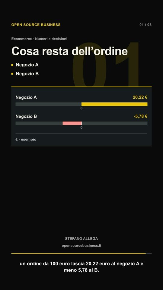 Quanto si guadagna con un ecommerce: 20,22 euro o una perdita sullo stesso ordine